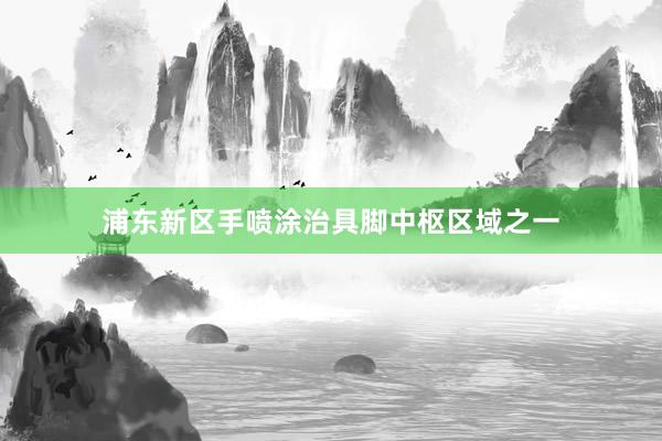 浦东新区手喷涂治具脚中枢区域之一