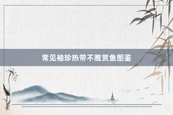 常见袖珍热带不雅赏鱼图鉴